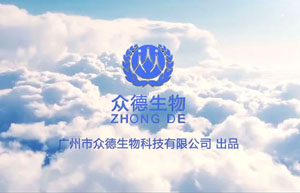 企業愿景